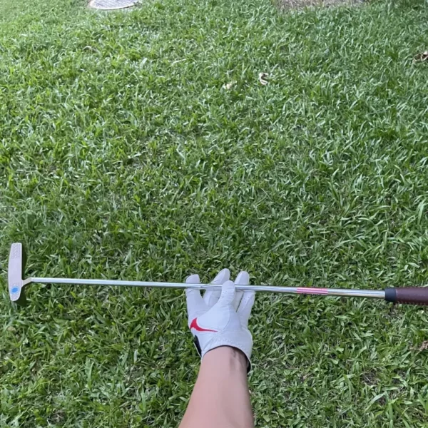 Calong Eagles Golf Putter - Image 8